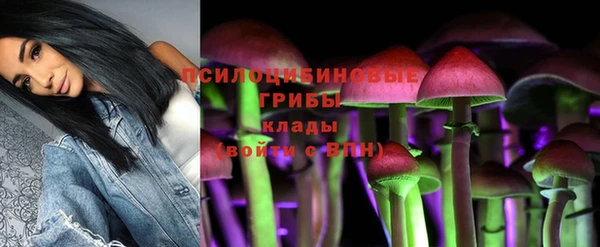 бошки Бородино