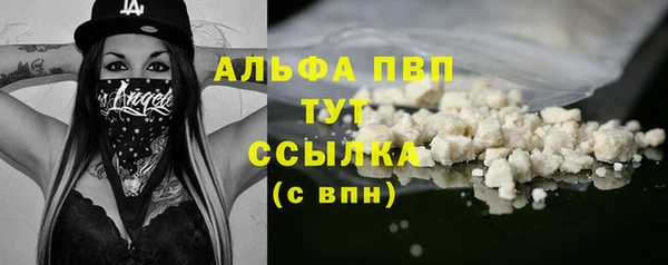 бошки Бородино