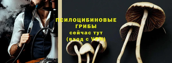 бошки Бородино