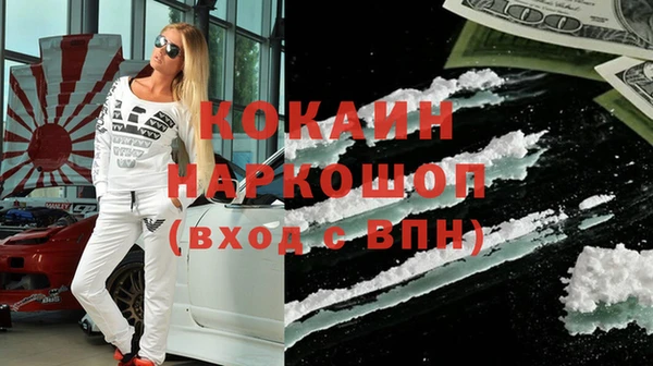 бошки Бородино