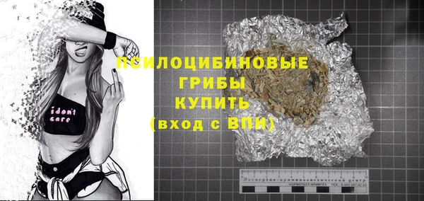бошки Бородино