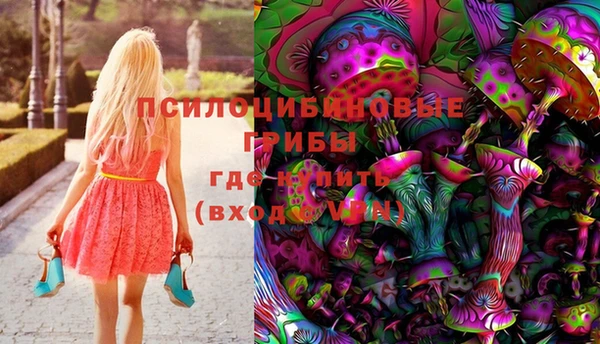 мдпв Бугульма