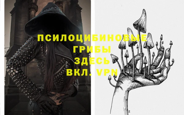 мдпв Бугульма