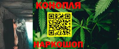 стафф Бийск