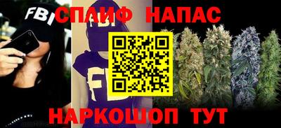 стафф Бийск