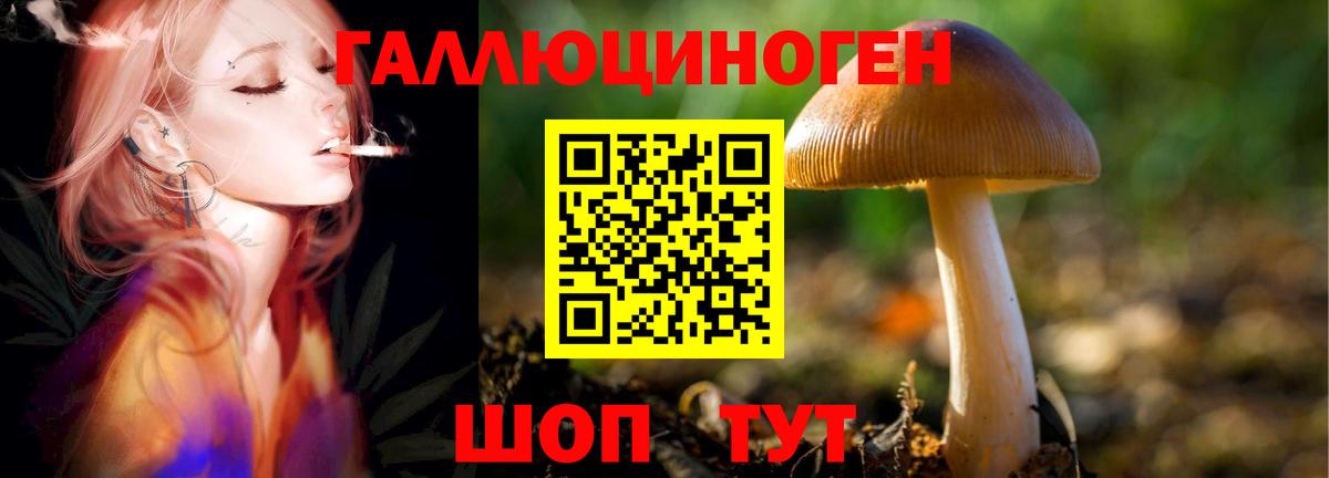Бугуруслан  Псилоцибиновые грибы MAGIC MUSHROOMS  Псилоцибиновые грибы MAGIC MUSHROOMS  Вход с VPN 